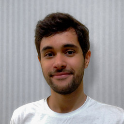 Italo Lelis - Software Developer